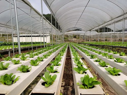 电商风采 电子商务的变革与未来