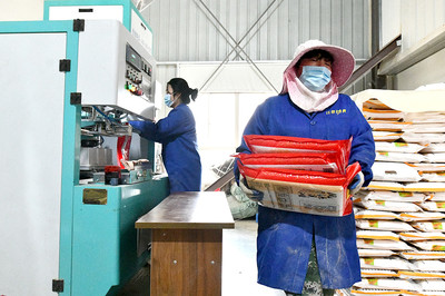 推动产业融合发展，助力粮食增产增收——粮食加工产业的战略路径