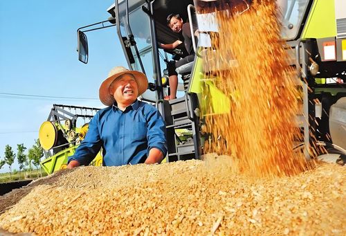 增效50%！揭秘粮食大厂的秘密武器——安达发APS生产排产软件