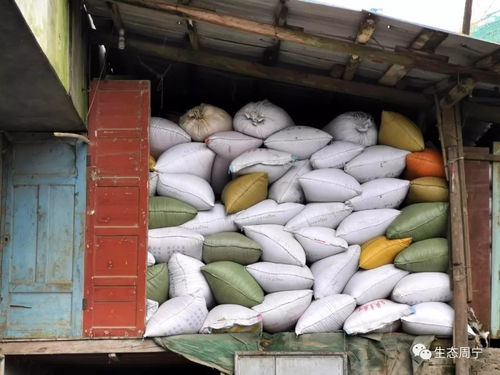 官方辟谣粮仓充足，市民勿需恐慌性抢购