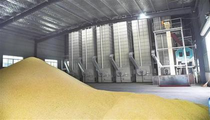 粮食烘干机 农业机械行业的下一个万亿级蓝海