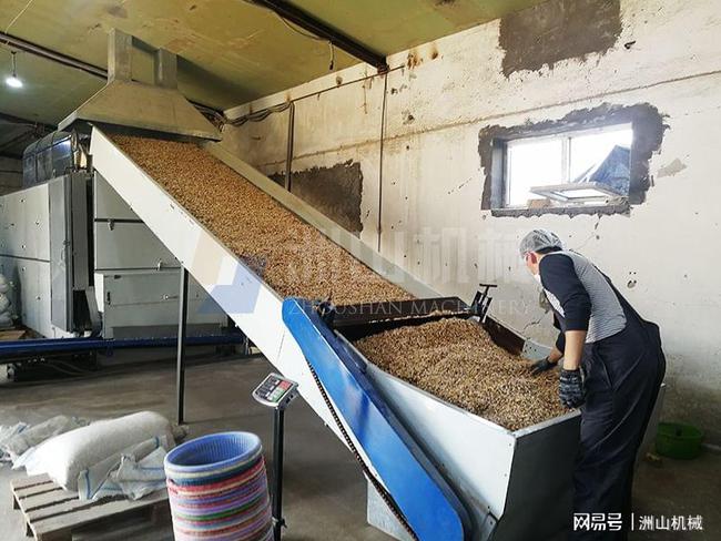 从加工端入手，破解粮食浪费难题——烘干机与农产品的精细化革命
