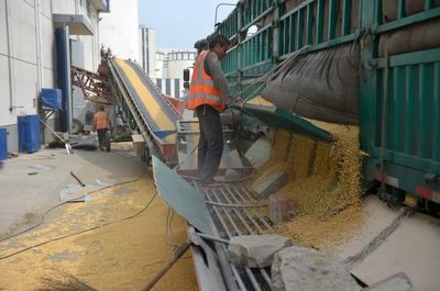 保障市民餐桌安全，探访成都粮仓与粮食加工全流程